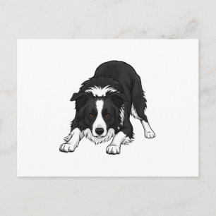 Border Collie Dog Holiday Postcard