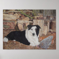 border collie dog in log shed with chickens