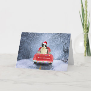 Border Collie Dog in Snow sitting in Christmas  Card