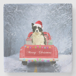 Border Collie Dog in Snow sitting in Christmas   Stone Coaster
