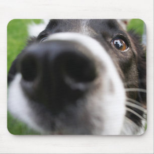 Border Collie Dog Nose Mouse Pad