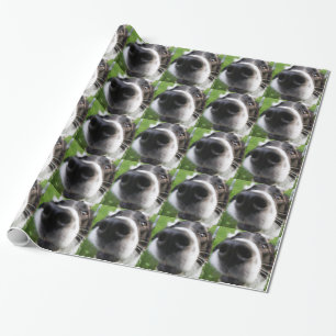 Border Collie Dog Nose Wrapping Paper