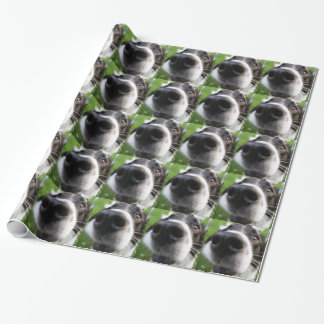 Border Collie Dog Nose Wrapping Paper