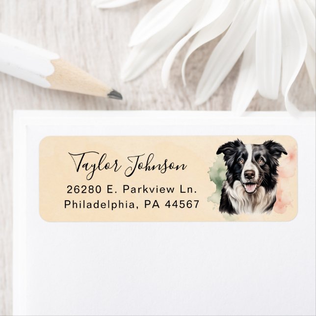 Border Collie Dog Return Address Label (Insitu)
