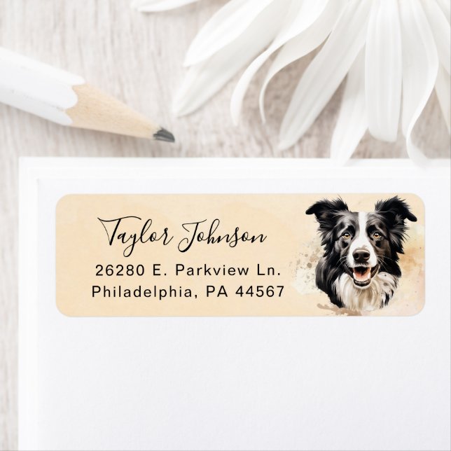 Border Collie Dog Return Address Label (Insitu)