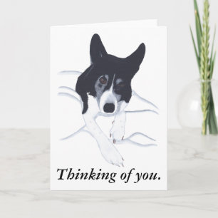 Border Collie Dog Thinking of you Cards