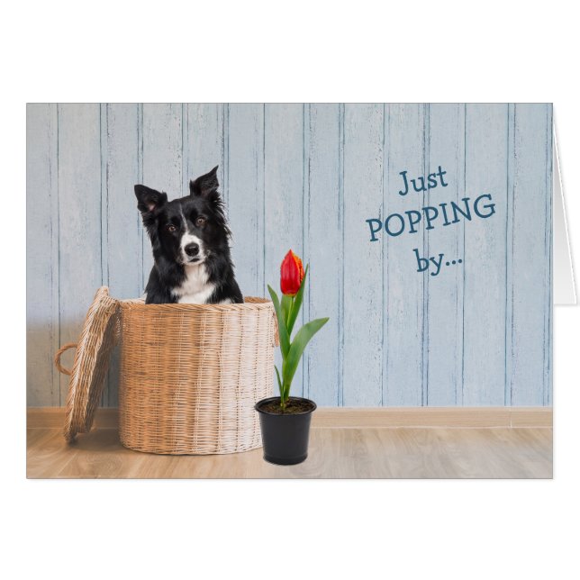 Border Collie Dog Wicker Basket Birthday Card (Front Horizontal)