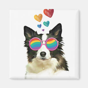 Border Collie  Dog with Hearts Valentine's Day  Magnet