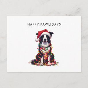 Border Collie Dog Wrapped In Christmas Light  Holiday Postcard