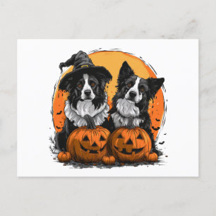 Border Collie Dogs Halloween Jack O Lanterns Postcard