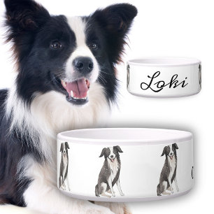 Border Collie Drawing Dog`s Name