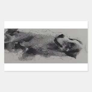 border collie drawing second rectangular sticker