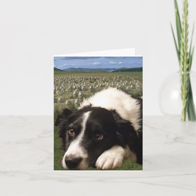 Border Collie Dreams Notecard (Front)