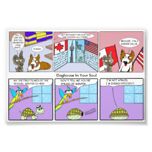 Border Collie / Energy Efficient Photo Print