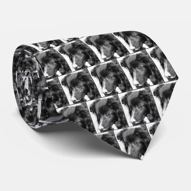 Border Collie Face Pencil Art Tie (Rolled)