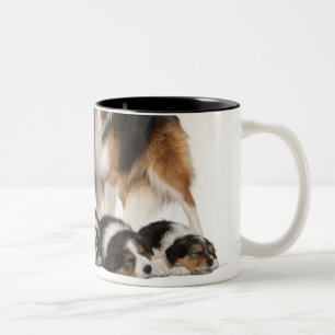 Border collie family Two-Tone coffee mug