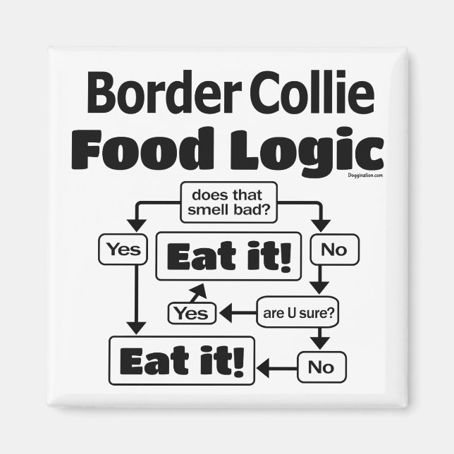 Border Collie Food Logic Magnet (Front)
