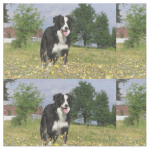 border collie full 3.png fabric