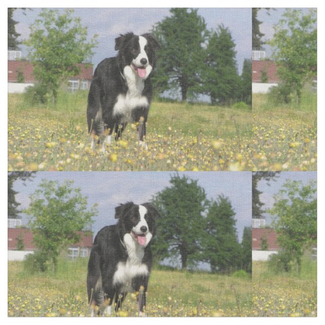 border collie full 3.png fabric (Close Up)