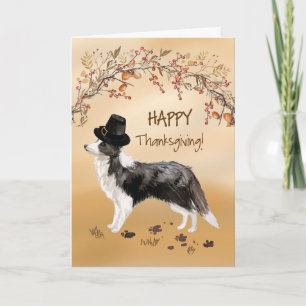 Border Collie Funny Pilgrim Hat Thanksgiving Card