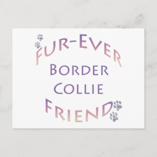 Border Collie Furever Postcard