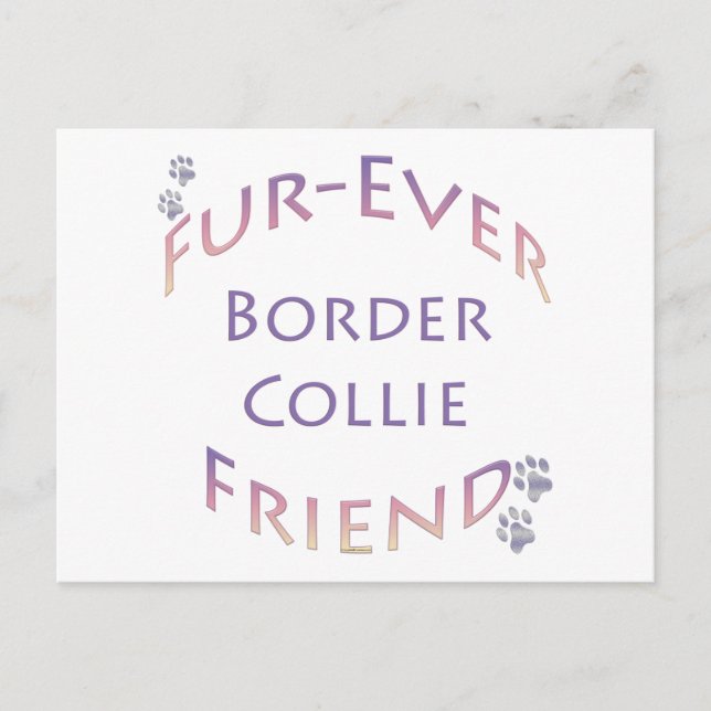 Border Collie Furever Postcard (Front)