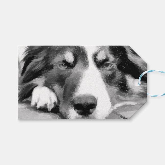 BORDER COLLIE GIFT TAGS (Front (Horizontal))