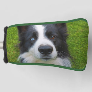Border Collie Golf Head Cover