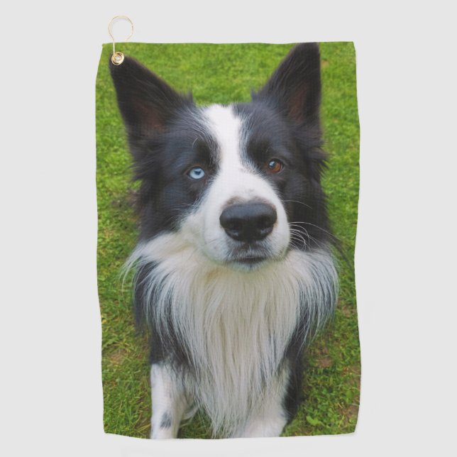 Border Collie Golf Towel (Front)