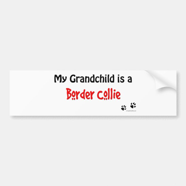 Border Collie Grandchild Bumper Sticker (Front)