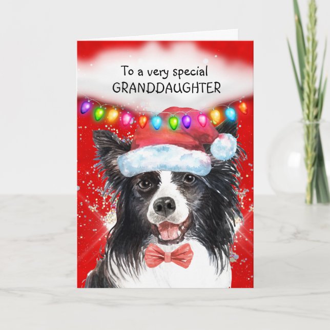 Border Collie granddaughter cute Xmas wishes Card (Front)