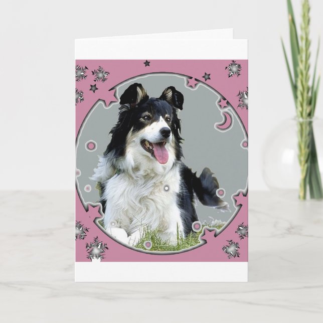 Border collie Greeting Card (Front)