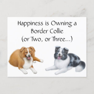 Border Collie Happiness Postcard