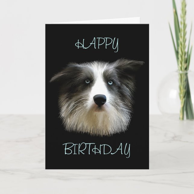 Border Collie Happy Birthday Card (Front)