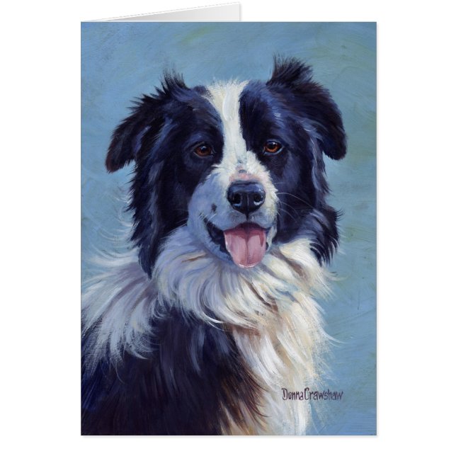 Border Collie Head (Front)