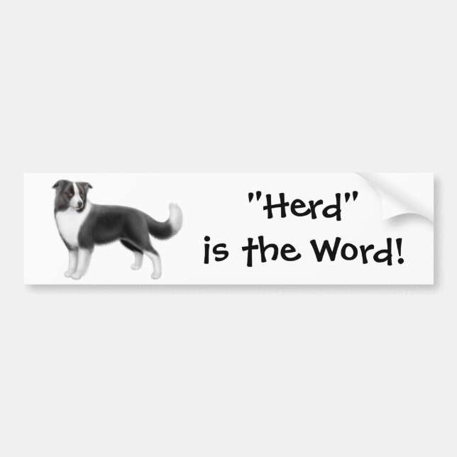 Border Collie Herding Bumper Sticker (Front)