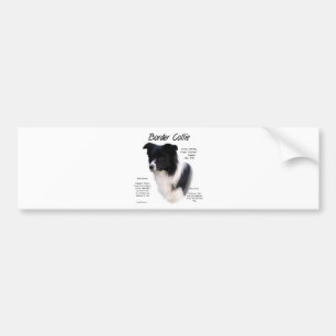 Border Collie History Design Bumper Sticker