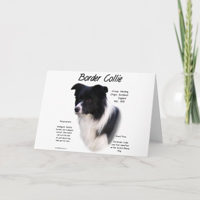 Border Collie History Design Holiday Card (Front)