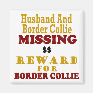 Border Collie  & Husband Missing Reward For Border Magnet