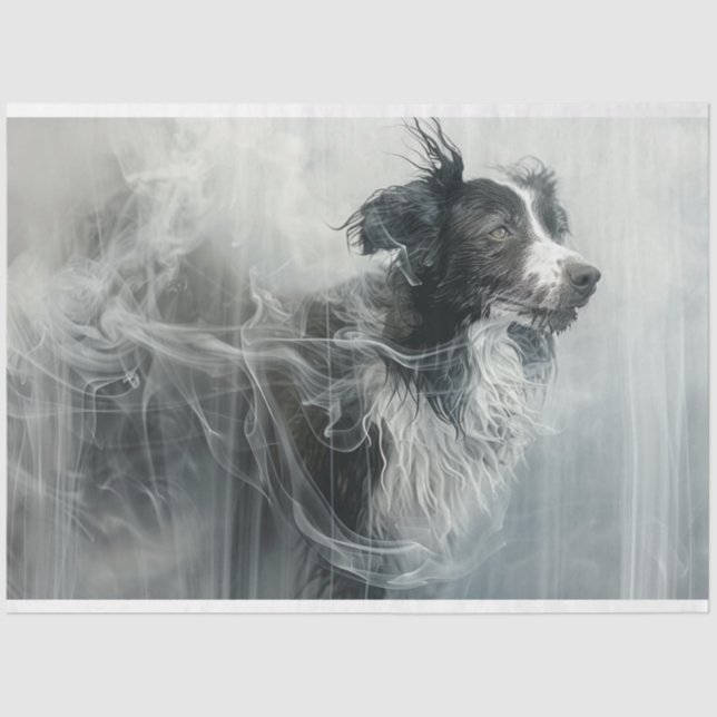 Border Collie in a Cloud of Smoke Decoupage Tissue Paper (Front)