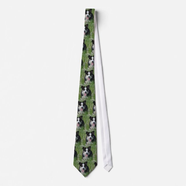 Border Collie in Dandelions Tie (Front)
