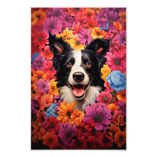 Border Collie in flowers Photo Print