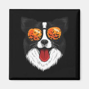 Border Collie In Sungles Lazy Halloween Costume Magnet
