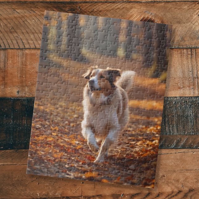 Border Collie in the forest Jigsaw Puzzle (Creator Uploaded)