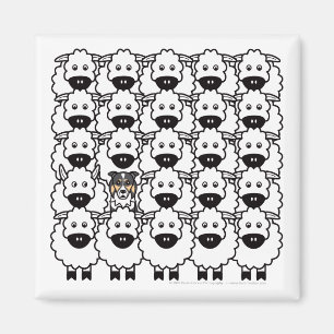 Border Collie in the Sheep Magnet