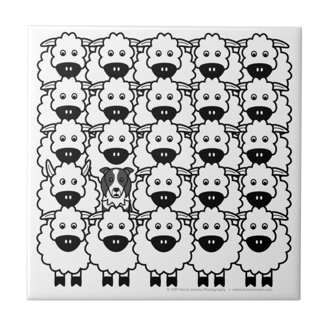 Border Collie in the Sheep Tile (Front)