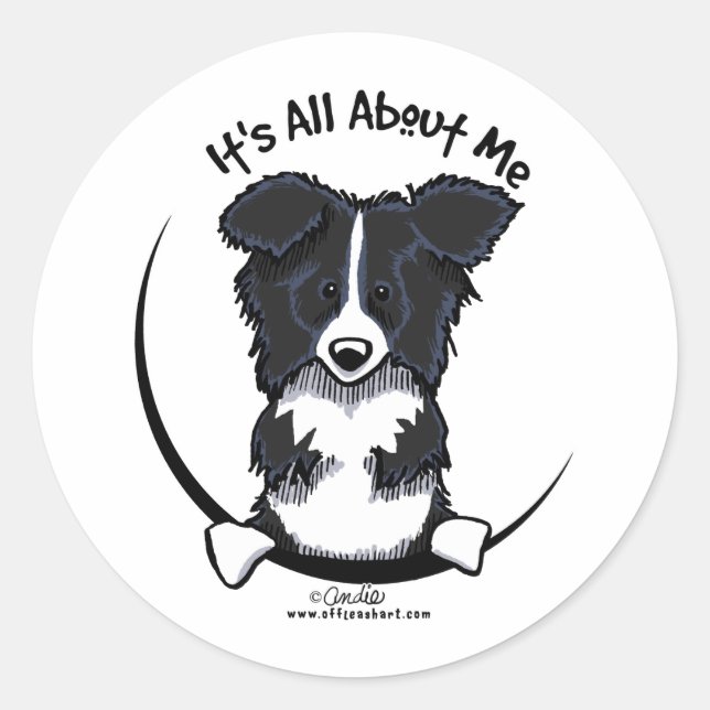 Border Collie Its All About Me Classic Round Sticker (Front)