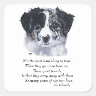 Border Collie Keepsakes Square Sticker