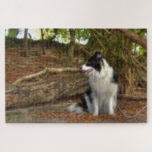 Border Collie Large Jigsaw Puzzle