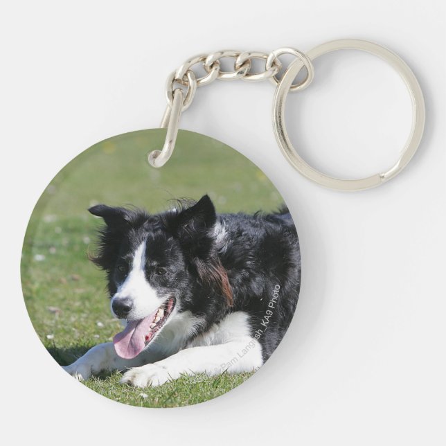 Border Collie Laying Down Key Ring (Back)